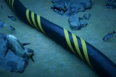 AWS Plans Sta’O’Nuk Trans-Pacific Subsea Cable