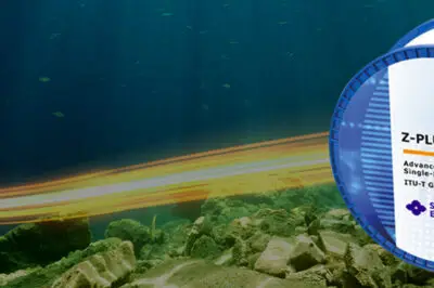 Sumitomo Electric Supplies Two-Core Fiber for Petal